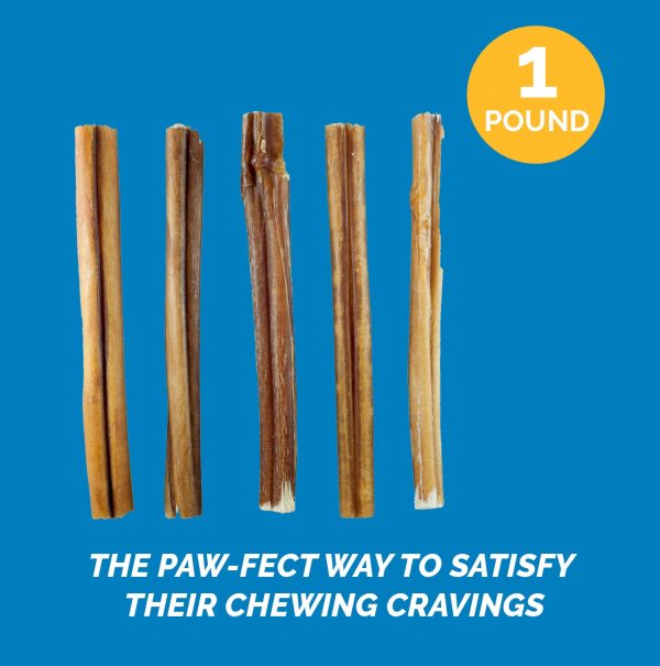 BULLY STICKS for Dogs 6 Inches - 1 Pound  | 100% Natural Dog Chews - Image 3