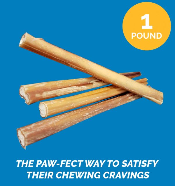 BULLY STICKS for Dogs 6 Inches - 1 Pound  | 100% Natural Dog Chews - Image 22
