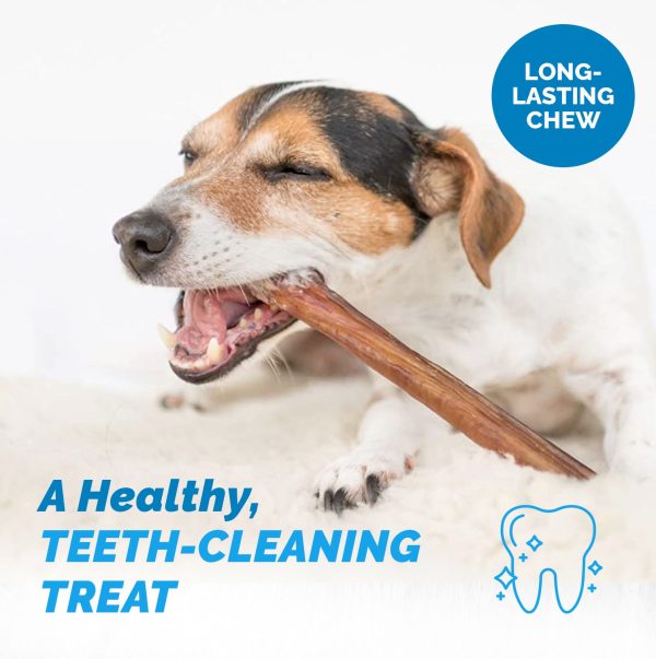 BULLY STICKS for Dogs 6 Inches - 1 Pound  | 100% Natural Dog Chews - Image 21