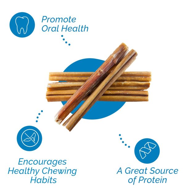 BULLY STICKS for Dogs 6 Inches - 1 Pound  | 100% Natural Dog Chews - Image 2
