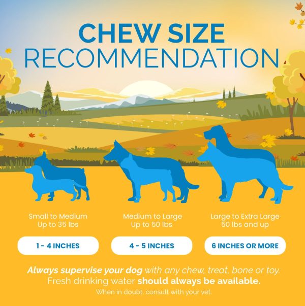 5-6" inches Rawhide Bones | 100% Natural Beef Hides Chews (10, 25 or 50 Count) - Image 7