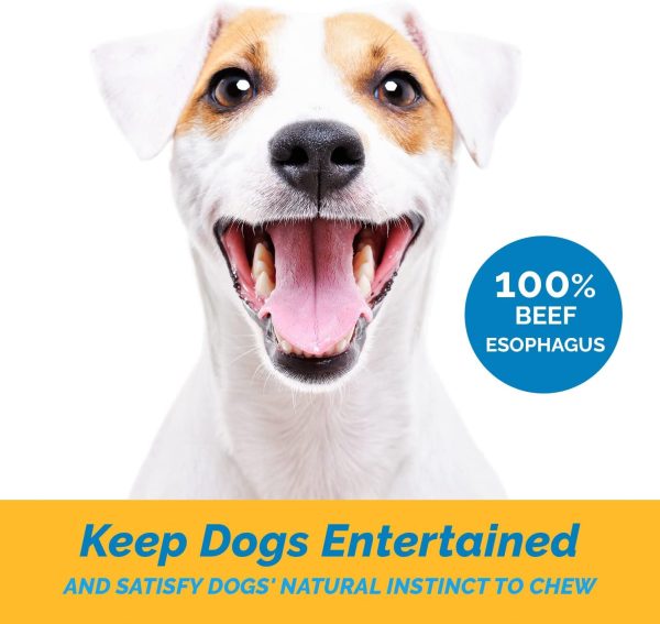 Beef Chews for Dogs (1 Pound) Gullet Jerky treats  | All Natural Esophagus Treats - Image 6
