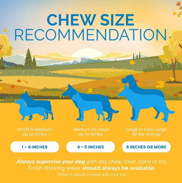 Beef Gullet Chews for Dogs (12 inches - 20 Count) All Natural Beef Treats - Image 7