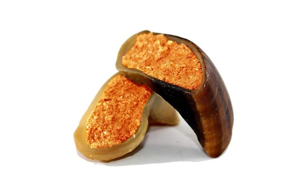 CHEESE FILLED COW HOOVES with Bacon flavor 3 or 10 Count | 100% Natural Dog Dental Treats | Beef Hoof From 123 Treats - Image 8