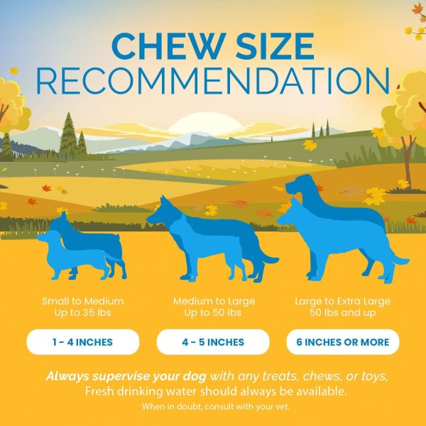 Beef Filled Cow Hooves (3 or 10 Count) 100% Natural Dog Dental Treats From 123 Treats - Image 5