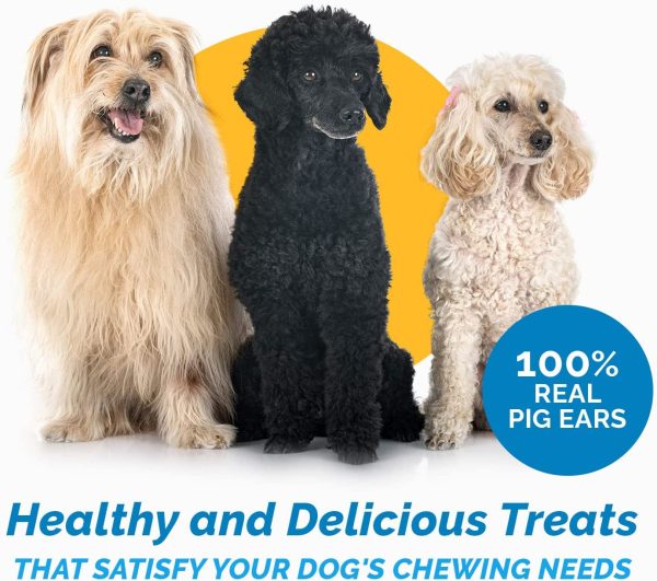 PIG EARS for Dogs Large or Whole sizes -  100% Natural Pork Ears Full of Protein for Your Pet By 123 Treats - Image 8