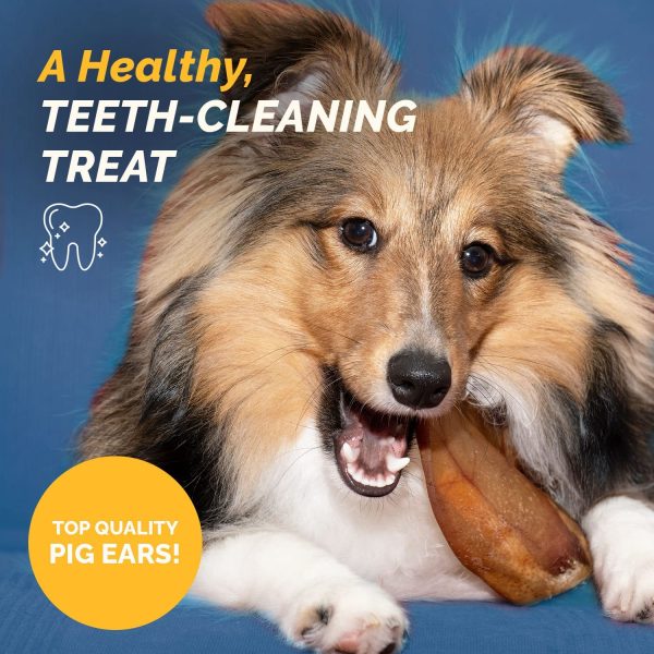 PIG EARS for Dogs Large or Whole sizes -  100% Natural Pork Ears Full of Protein for Your Pet By 123 Treats - Image 6