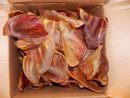 PIG EARS for Dogs Large or Whole sizes -  100% Natural Pork Ears Full of Protein for Your Pet By 123 Treats
