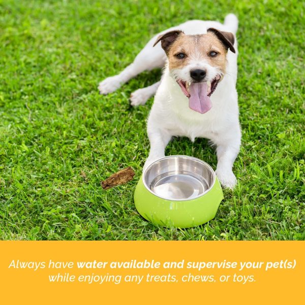 Beef Stick Dog Treats - 100% Natural Esophagus Gullet Chews for Dogs (6 inches 10 or 30 Count) - Image 9