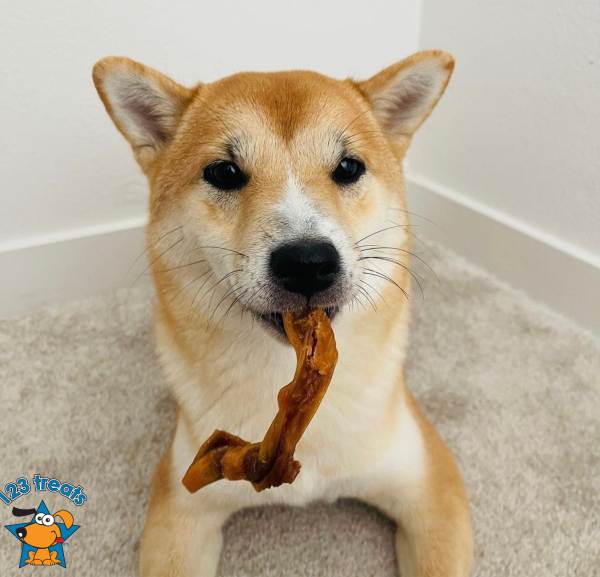 Pig Ears Strips for Dogs (8 Oz & 1, 5 pounds) 100% Natural bite size Pork Dog Chews From 123 Treats - Image 6