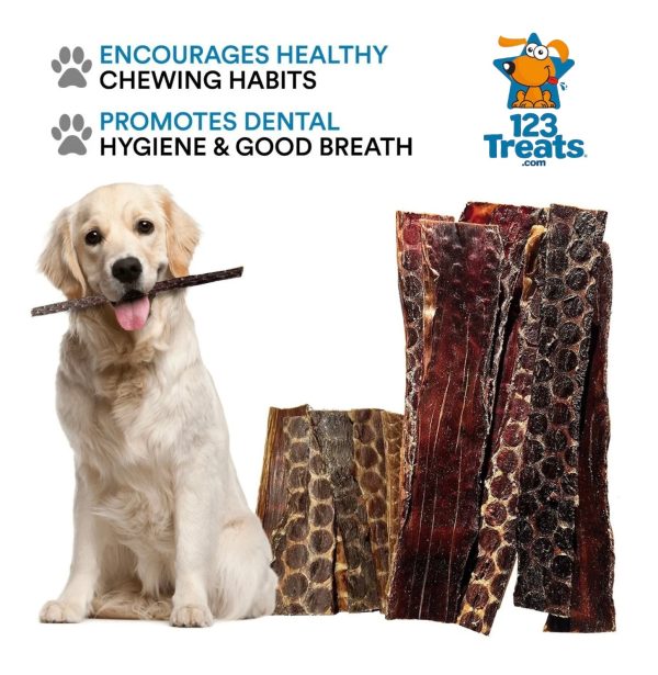 Beef Gullet Chews for Dogs (12 inches - 20 Count) All Natural Beef Treats - Image 6