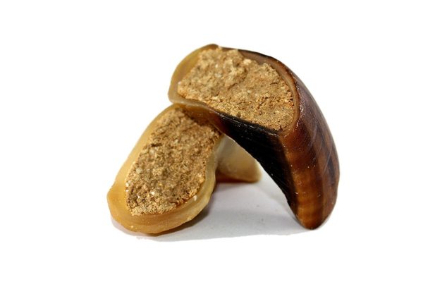 PEANUT BUTTER FILLED COW HOOVES 3 or 10 Count - 100% Natural Dog Dental Treats | Beef Hoof From 123 Treats - Image 6