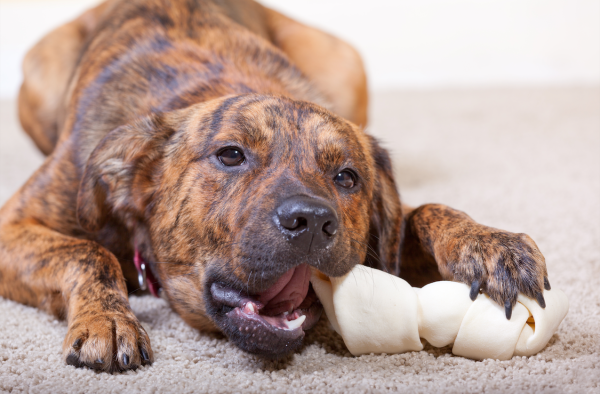 3-4" inches Rawhide Bones Chews | Premium Rawhide Dog Chews (15, 25, 50 or 100 Count) - Image 14