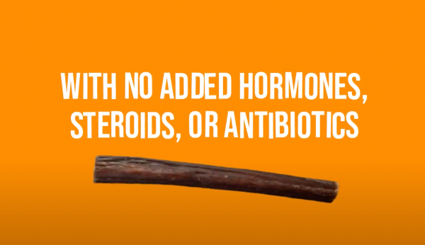 BULLY STICKS for Dogs 6 Inches - 1 Pound  | 100% Natural Dog Chews - Image 16