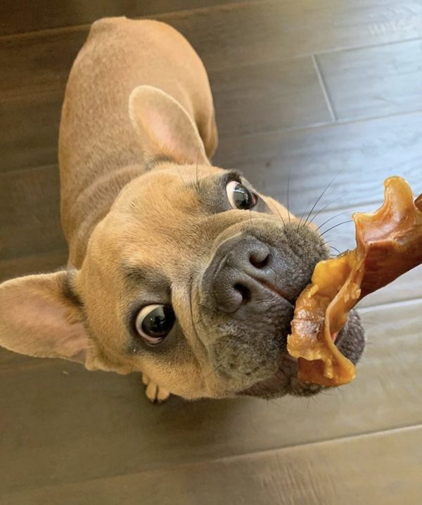Pig Ears Strips for Dogs (8 Oz & 1, 5 pounds) 100% Natural bite size Pork Dog Chews From 123 Treats - Image 9
