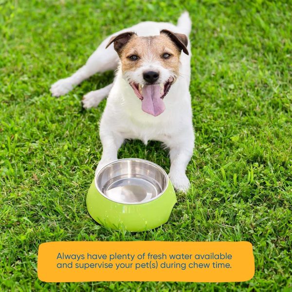 Stuffed Hooves chews for dogs Variety pack (10 Count) - Image 5