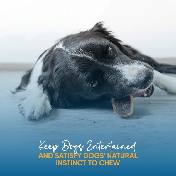 Stuffed Hooves chews for dogs Variety pack (10 Count) - Image 4
